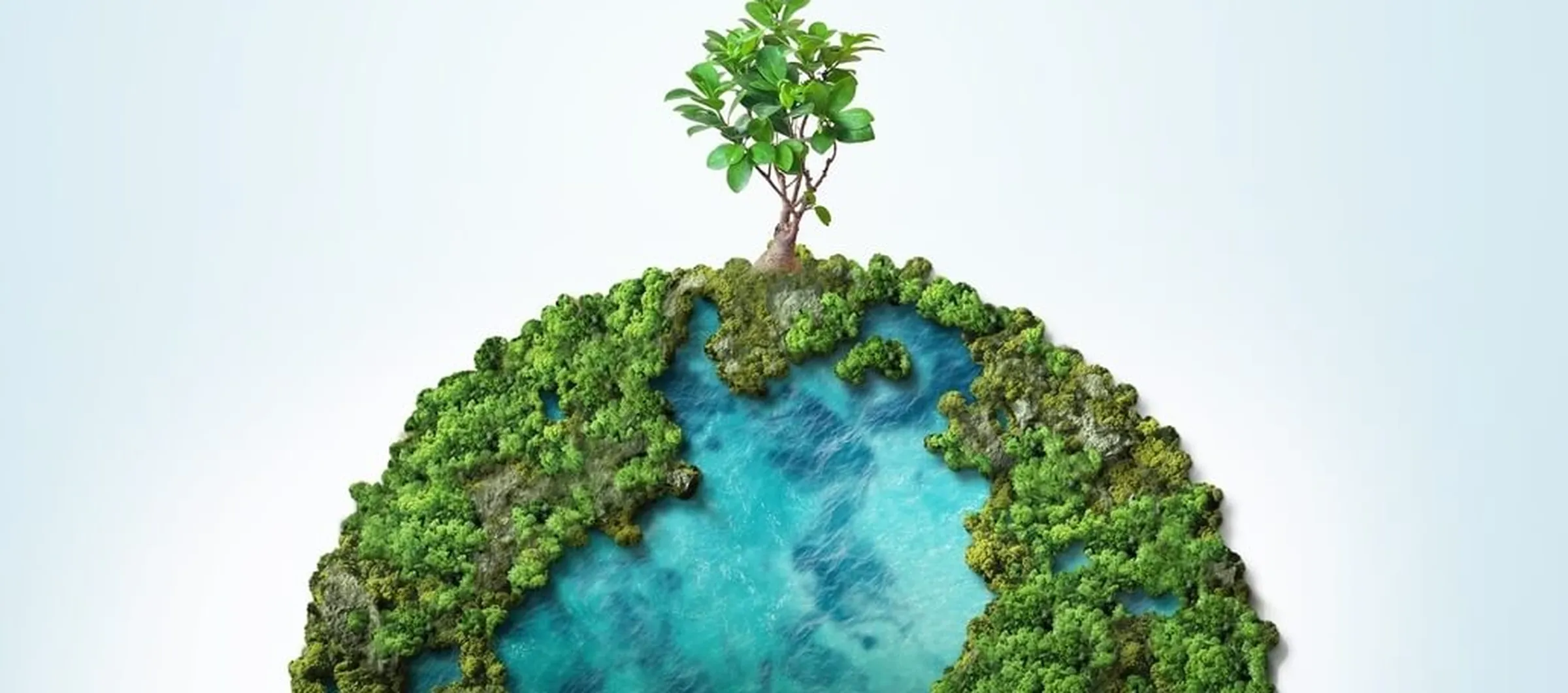 Digital sustainability: e-invoicing for a greener future