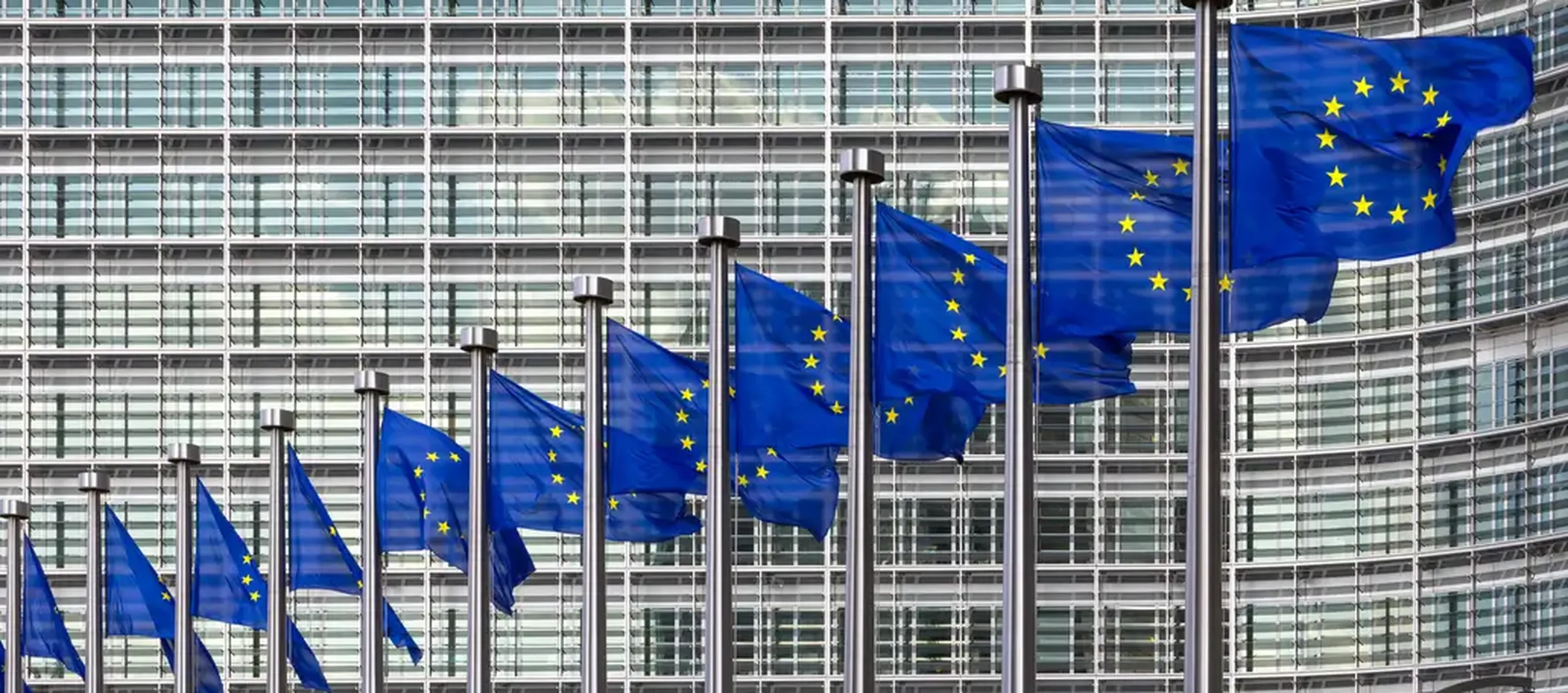 VAT in the Digital Age (ViDA) update