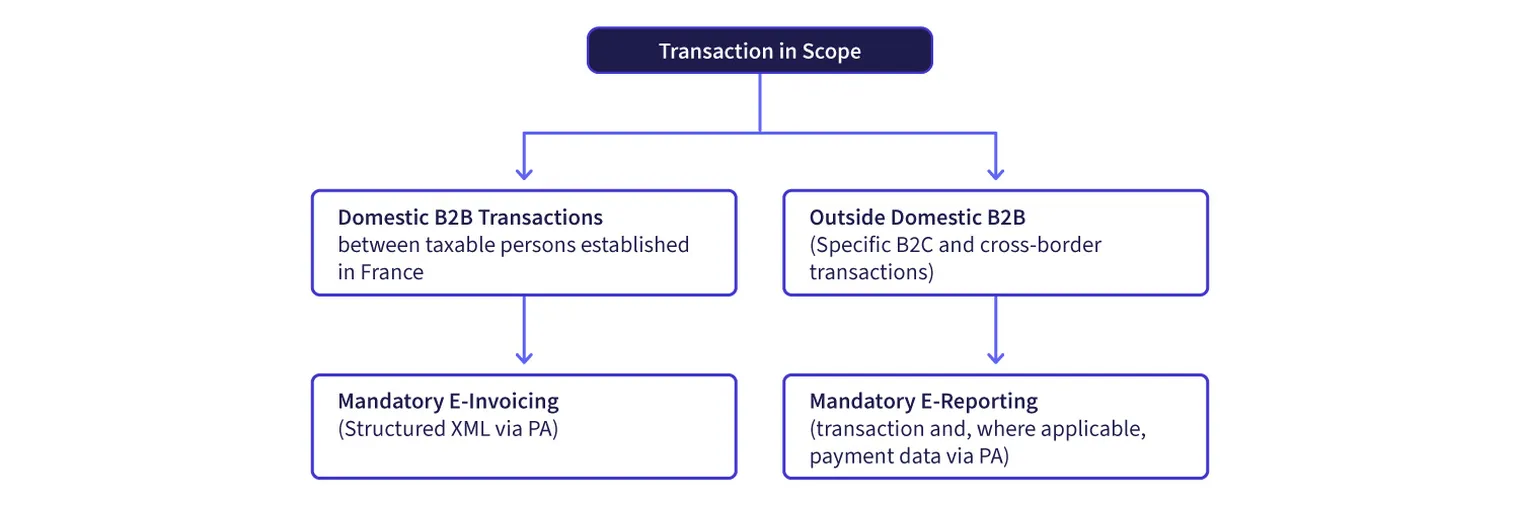 France e-invoicing_Transaction in Scope-ENG