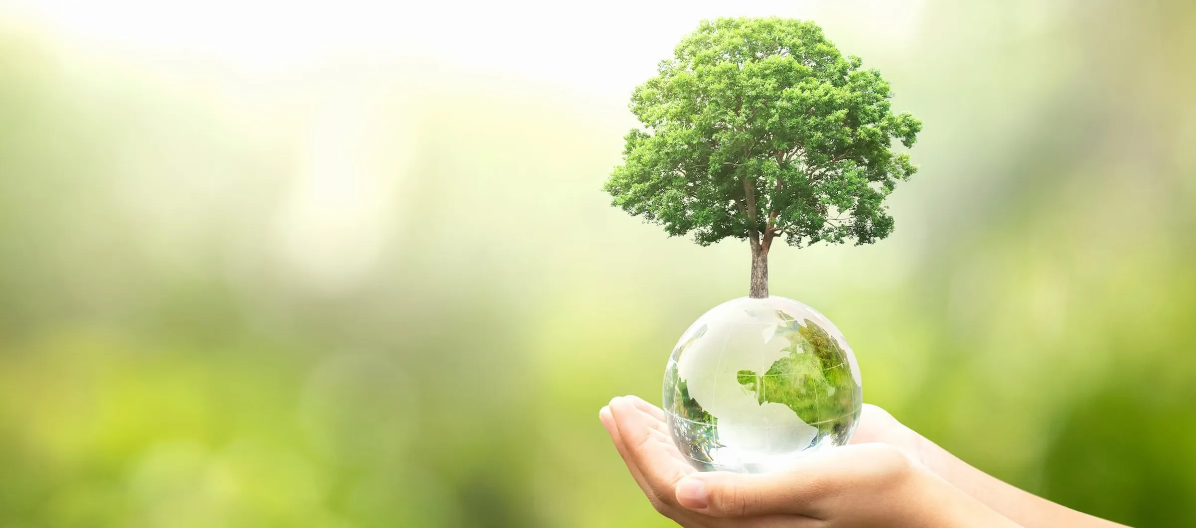 Banqup joins the United Nations Global Compact: A commitment to sustainability