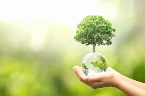 Banqup joins the United Nations Global Compact: A commitment to sustainability