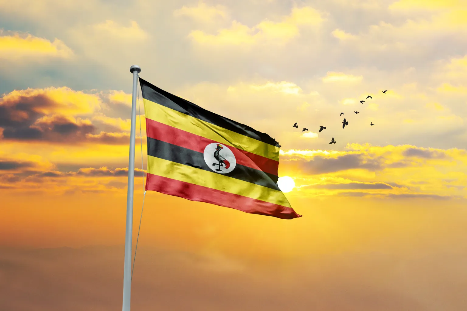 Drapeau de l'Ouganda