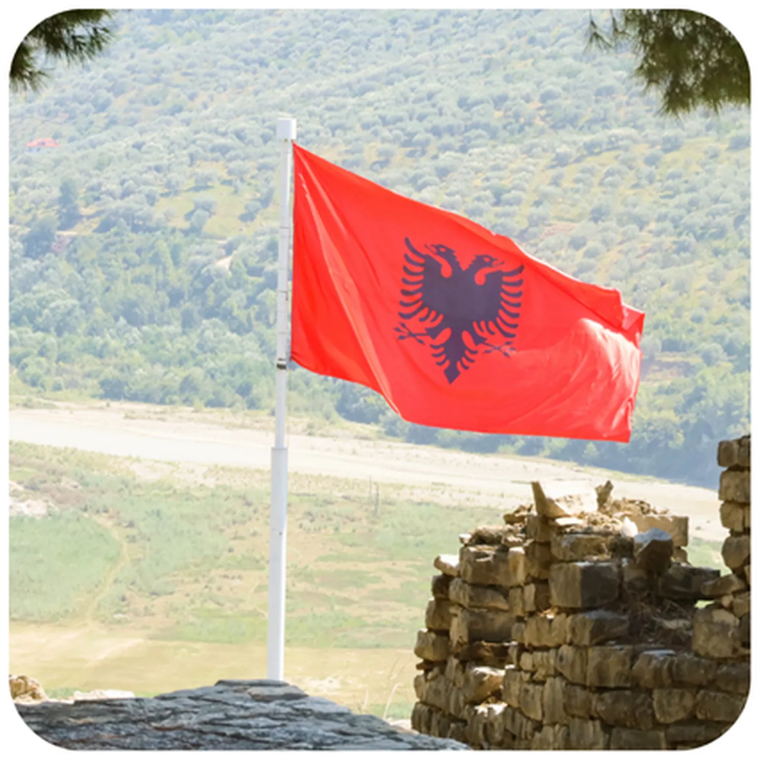 flag of albania